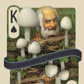 Игральные карты " Грибы" - пики