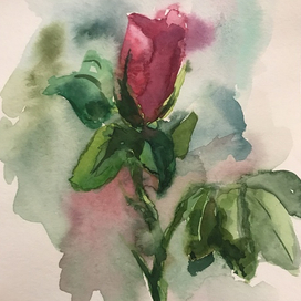 Цветок боярышника