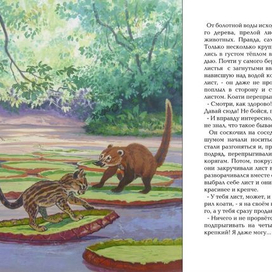 Коати и Жагуатирика 5