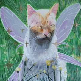 Волшебный кот