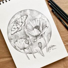 Маки и луна 