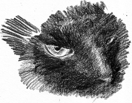 М.А. Булгаков. Мастер и Маргарита. Кот Бегемот (х 1)