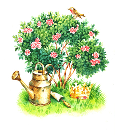 Божена Немцова"Счастье Яромила"