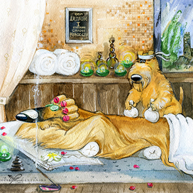 Серия «Праздники». Два терьера и афган. 8 марта.