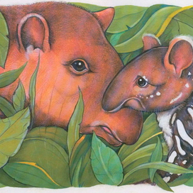 Тапиры
