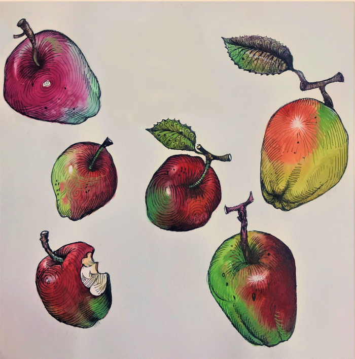 Яблоки Агнессы.