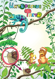 Иллюстрация для детского журнала
