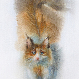 Акварельный котик