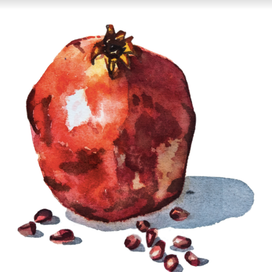Гранат акварелью