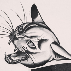 кошачий оскал