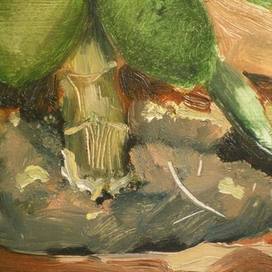 "Жизнь денежного дерева". Серия.