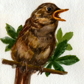 курский соловей