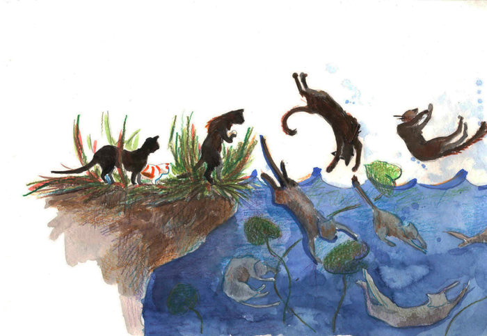 Голодные коты