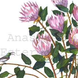 Сказка о храброй солнечной птичке.