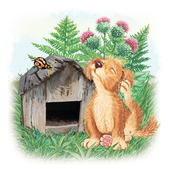 Ухо чешется.