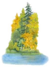 Оборочная иллюстрация для книги "Гомельская земля"