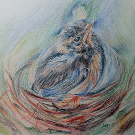 Птенец в гнезде