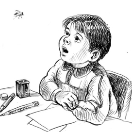 Сбила с мысли