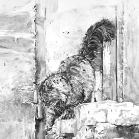 "Добрая, Рыжая и Пушистая"