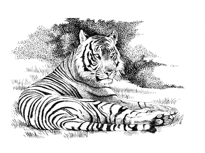 Корбетт "Наука джунглей"