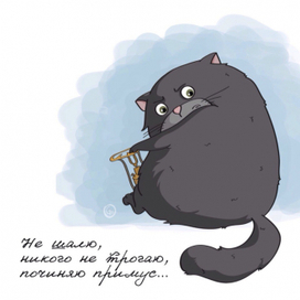 Кот Бегемот