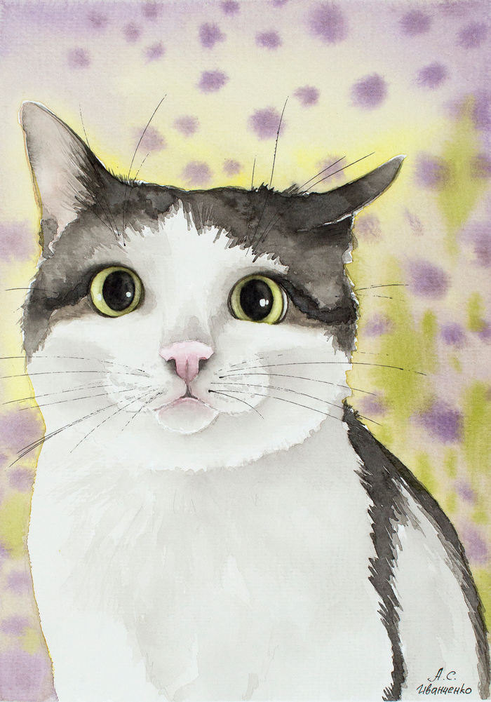 Что здесь происходит?( Акварель)Кот