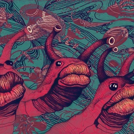 Мои мокряхи