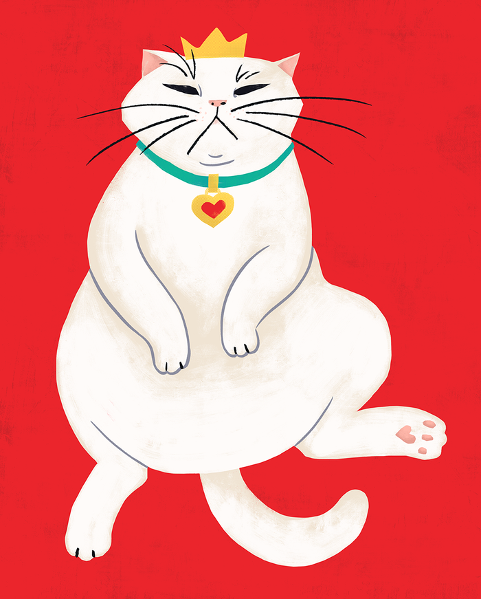 Домашний правитель