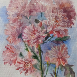 Хризантема