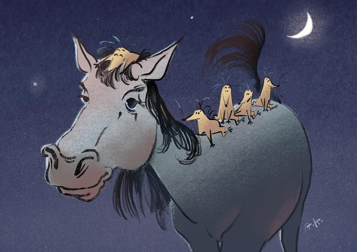 Вечерние прогулки