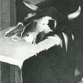 натюрморт с черепом