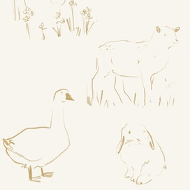 Spring in the garden🪴