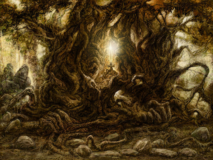 Очень старое дерево