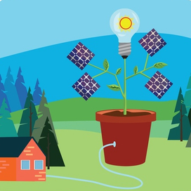 Иллюстрация