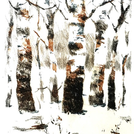 вид из моего окна