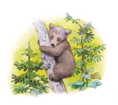 ''...смешной такой,мохнатый''.