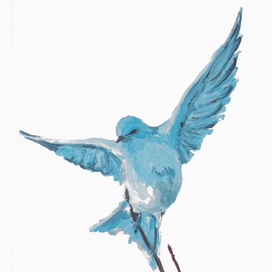 голубая птица