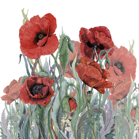 Маки ( для дома моды Slava Zaitsev)