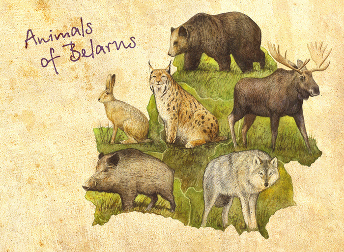 Животные Беларуси