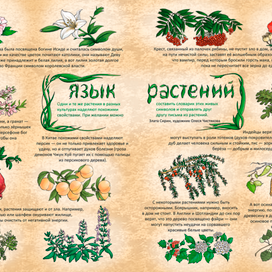 Язык растений