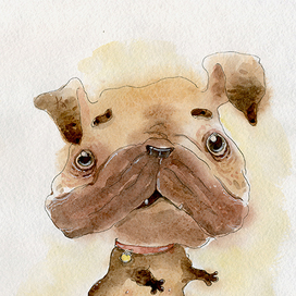 Псинки - открытки