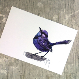 Синий малюр