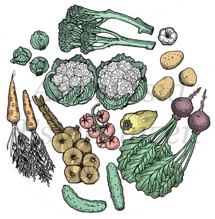 Овощи. Иллюстрация для журнала.