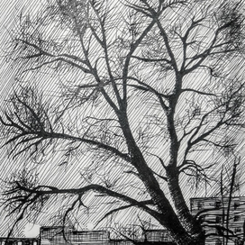 поскетчить 1