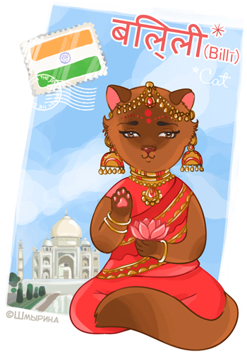 Кошка из Индии