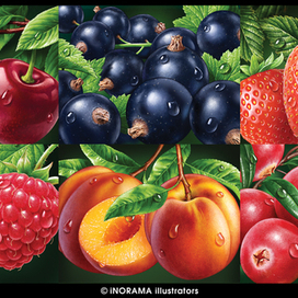 Иллюстрации с ягодами.