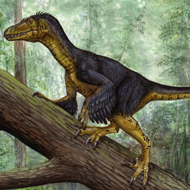 Balaur (фрагмент)