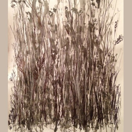 В стране дремучих трав