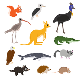 Животные. Иллюстрации для детских пособий.