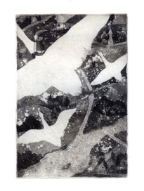 Сельма Лагерлеф. Удивительное путешествие Нильса Хольгерсона с дикими гусями по Швеции.